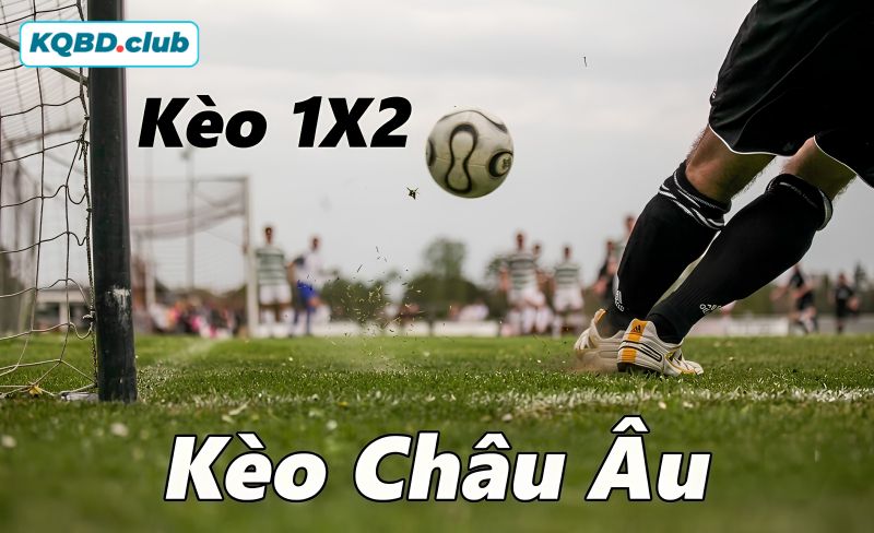 Chiến lược quản lý tài chính hiệu quả cho người chơi kèo châu Âu Chiến lược quản lý tài chính hiệu quả cho người chơi kèo châu Âu