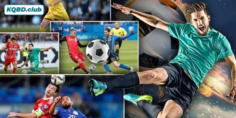 KQBD có những chuyên mục nào? KQBD có những chuyên mục nào?
