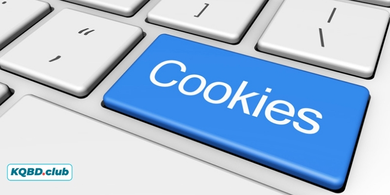 Người chơi hoàn toàn kiểm soát được các dữ liệu Cookies Người chơi hoàn toàn kiểm soát được các dữ liệu Cookies