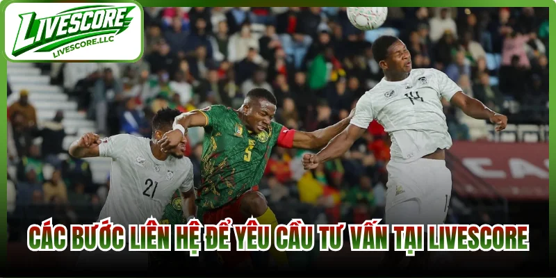 Các bước liên hệ để yêu cầu tư vấn tại Livescore
