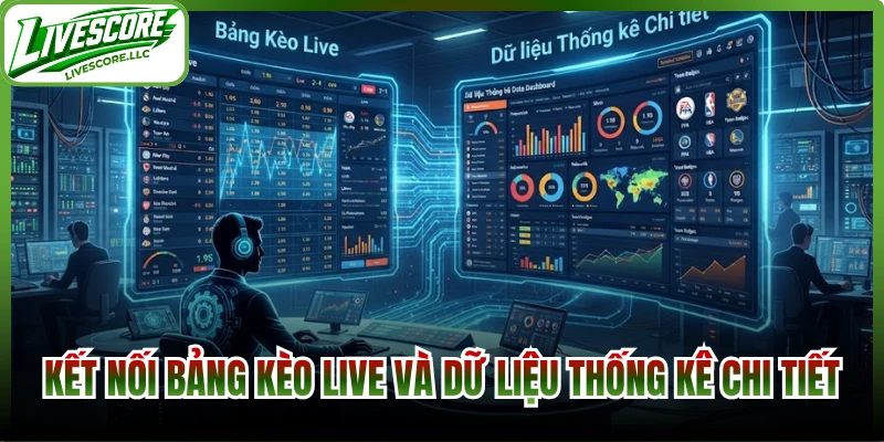 Kết nối bảng kèo live và dữ liệu thống kê chi tiết