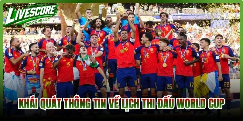 Khái quát thông tin về lịch thi đấu World Cup