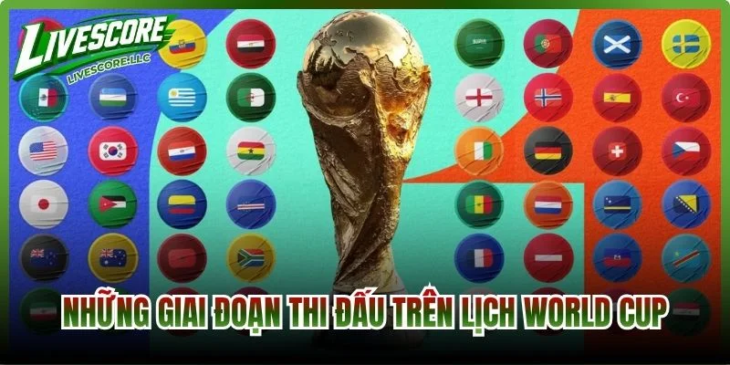 Những giai đoạn thi đấu trên lịch World Cup