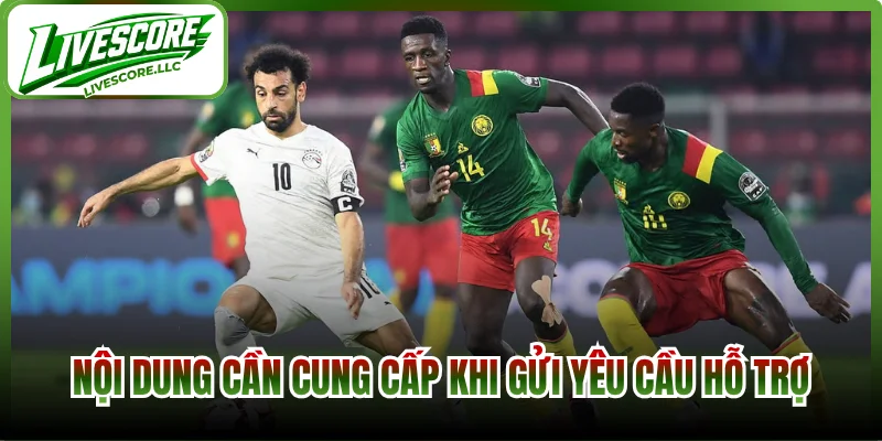 Nội dung cần cung cấp khi gửi yêu cầu hỗ trợ